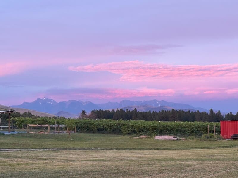 Winery stay at Family-Owned Riverside Vineyard Retreat