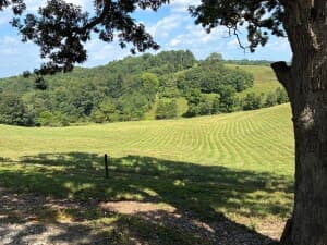 Charming Organic Winery & Live Music Venue