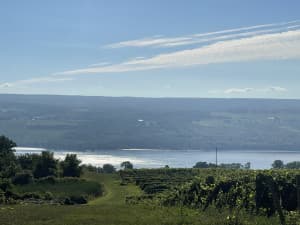 Upstate Vineyard RV Campground
