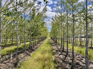 Scenic Vineyard & Orchard Retreat