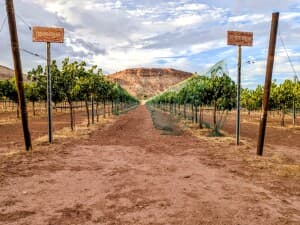 Scenic Red Rock Valley Winery