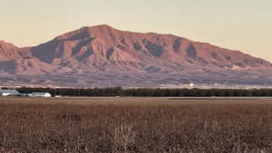 Southwest Vineyard RV Retreat
