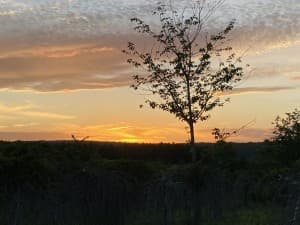 Heirloom Permaculture Farm Retreat