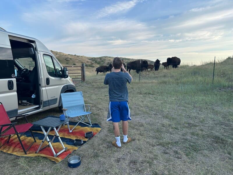 Farm stay at Scenic Bison & Wildlife Ranch