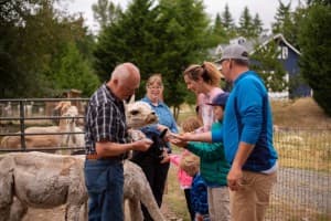Secluded Alpaca Ranch & Fiber Mill