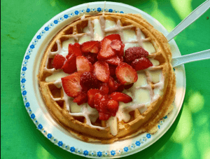 Family Strawberry Farm Retreat