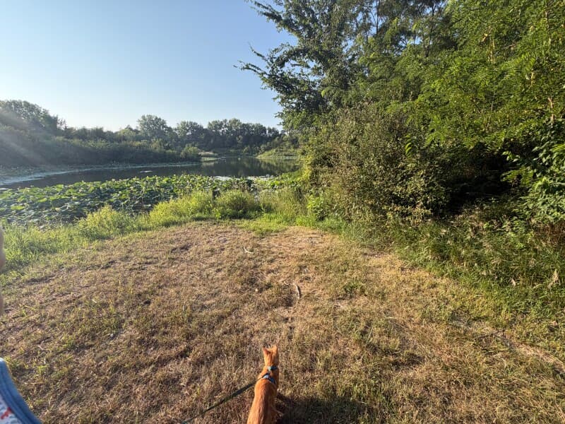 Farm stay at Central Iowa Quarry Pond Retreat