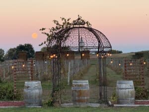 High Plains Vineyard & Winery