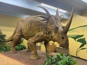 Informative Dinosaur Museum RV Stop