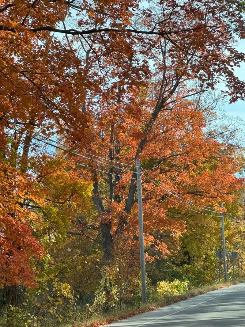 Brewery stay at Boutique Lodge & Supper Club Retreat