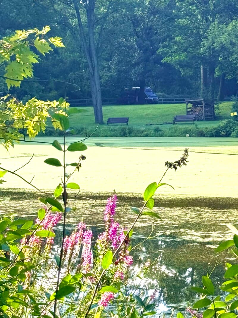Brewery stay at Scenic Brewery & Pond Escape