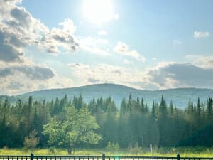 Award-Winning Vermont Maple & Berry Farm