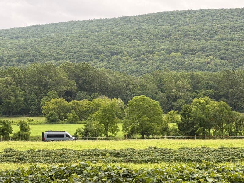 Winery stay at Boutique Winery & Vineyard Retreat