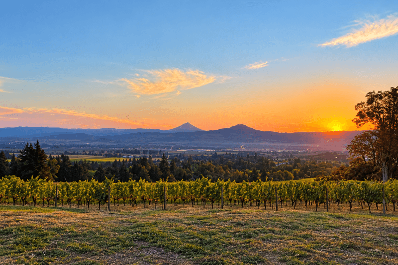 Winery stay at Historic Vineyard Estate Retreat