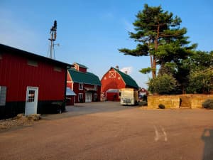 Scenic Eastern Iowa Alpaca Farm