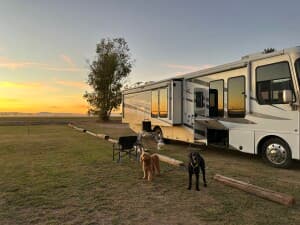 Olive Orchard Farm Retreat
