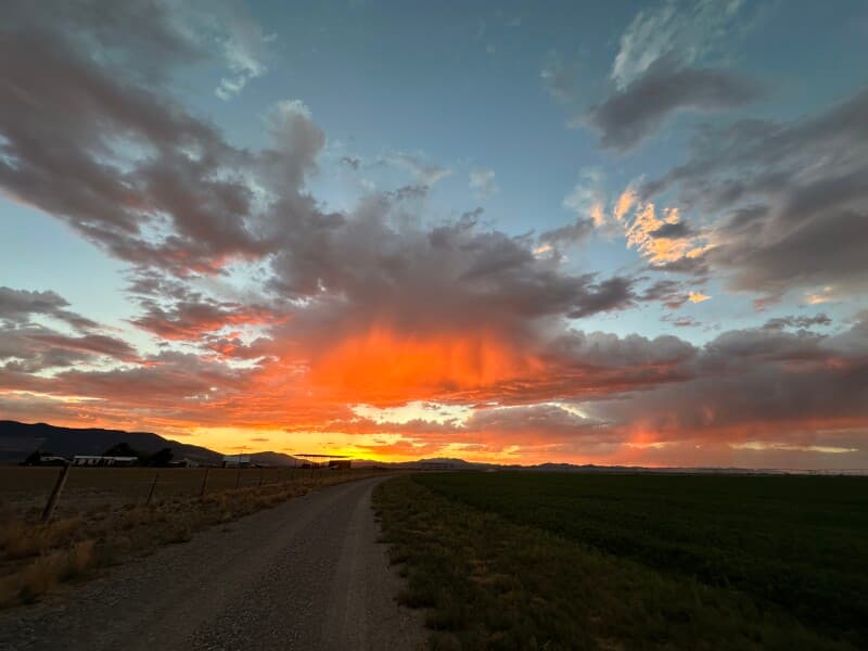Farm stay at Scenic Bison Ranch Retreat