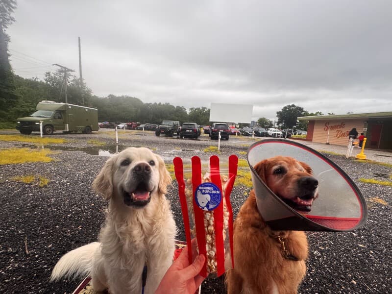 Attraction stay at Iconic Drive-In Theatre Getaway