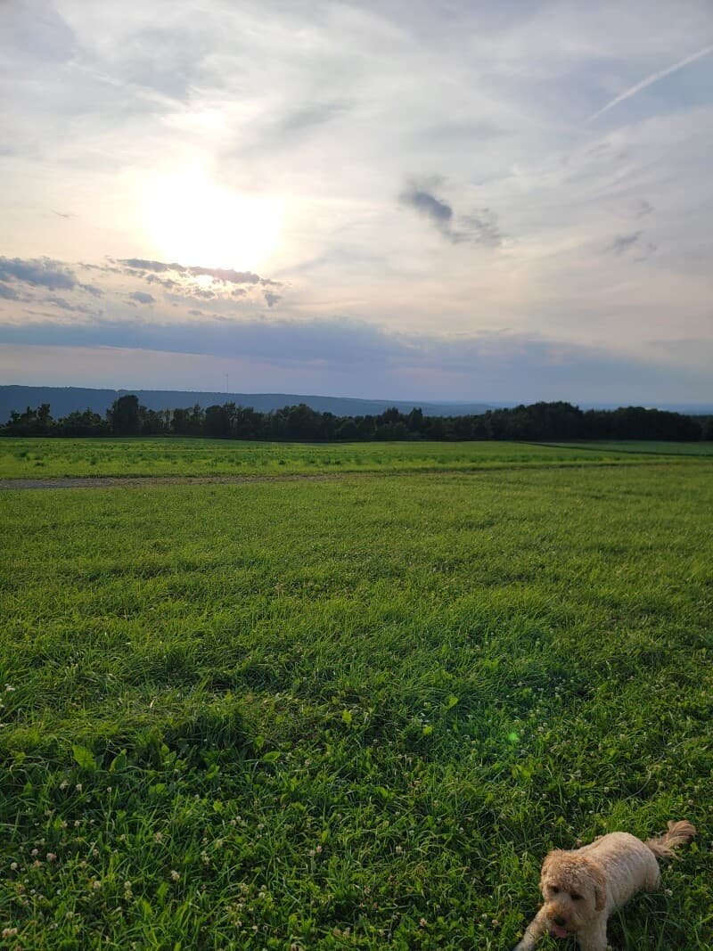 Brewery stay at Historic Farm Brewery & Eatery