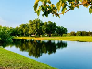 Historic Peach Orchard Farm