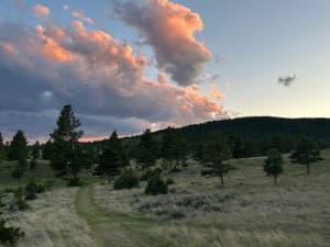 Serene Dorper Sheep Ranch
