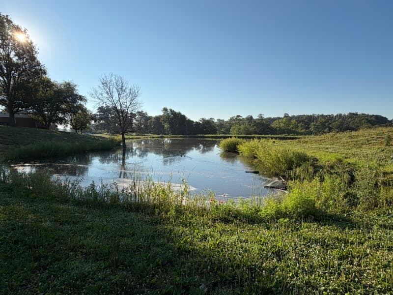 Farm stay at Historic Lavender & Agritourism Retreat