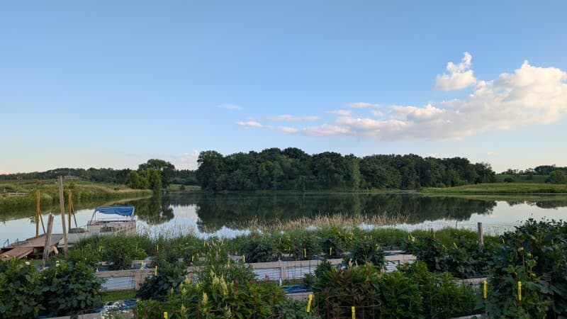 Farm stay at Southern Minnesota Flower Farm & Ranch
