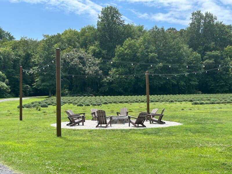 Farm stay at Lavender & Flower Farm Retreat