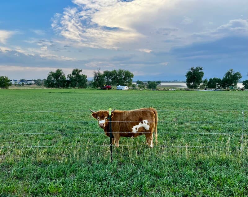 Farm stay at Family Farm Retreat with Reservoir Views