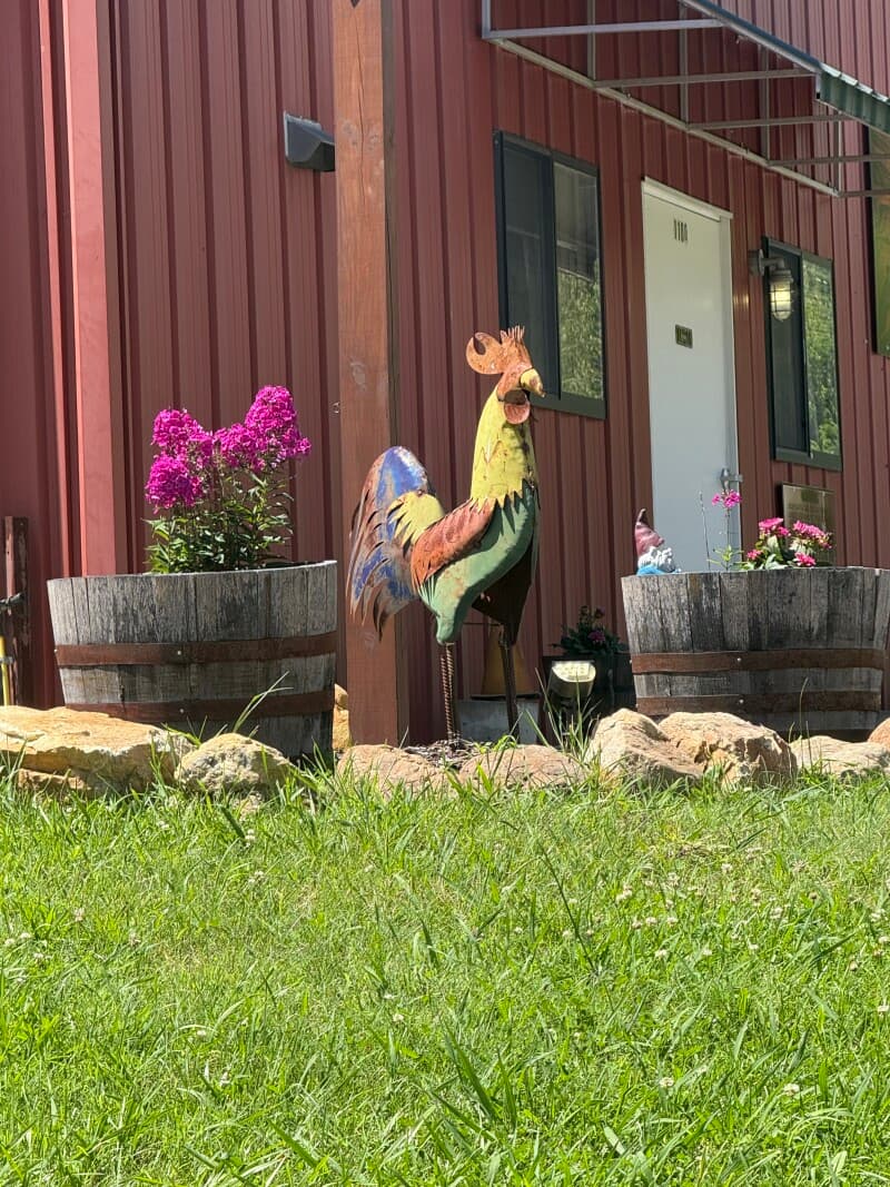 Farm stay at Scenic Black Angus Ranch Retreat