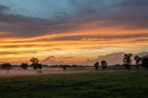 Scenic Horse Farm & Event Barn