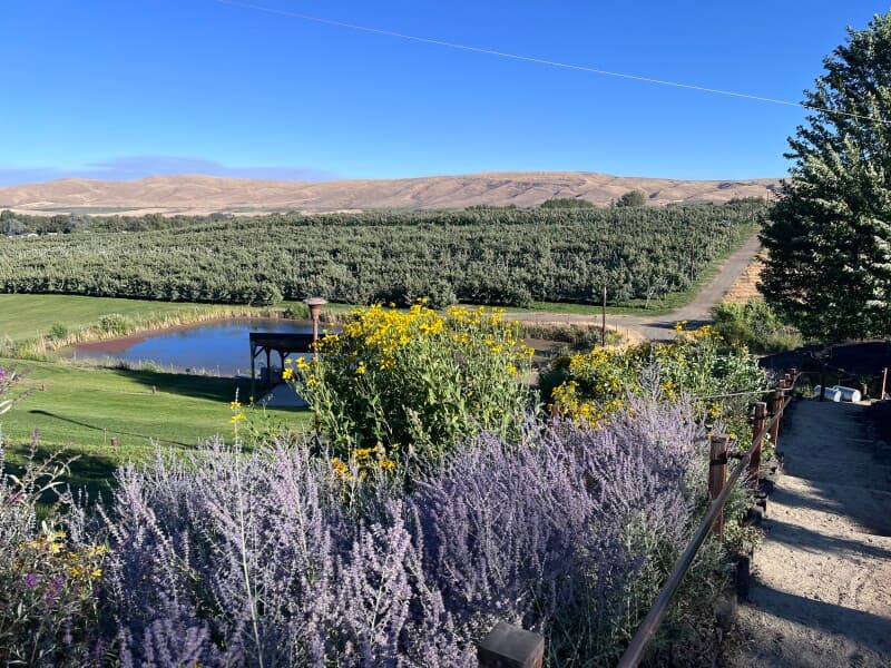 Winery stay at Family-Owned Yakima Valley Winery