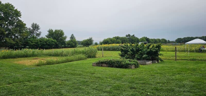 Farm stay at Charming Organic Farm Stay