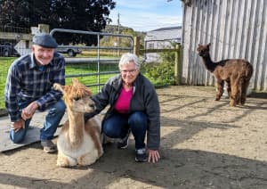 Scenic Alpaca Farm Retreat