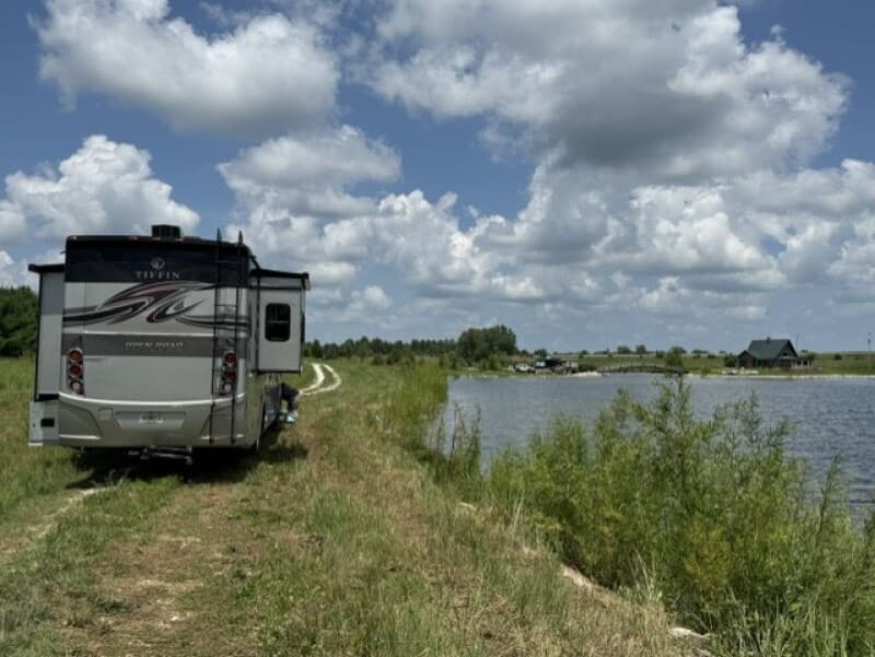 Farm stay at Idyllic Elk Farm & Swan Refuge