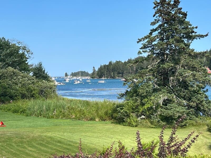 Farm stay at Coastal Art Studio & Blueberry Barrens Farm