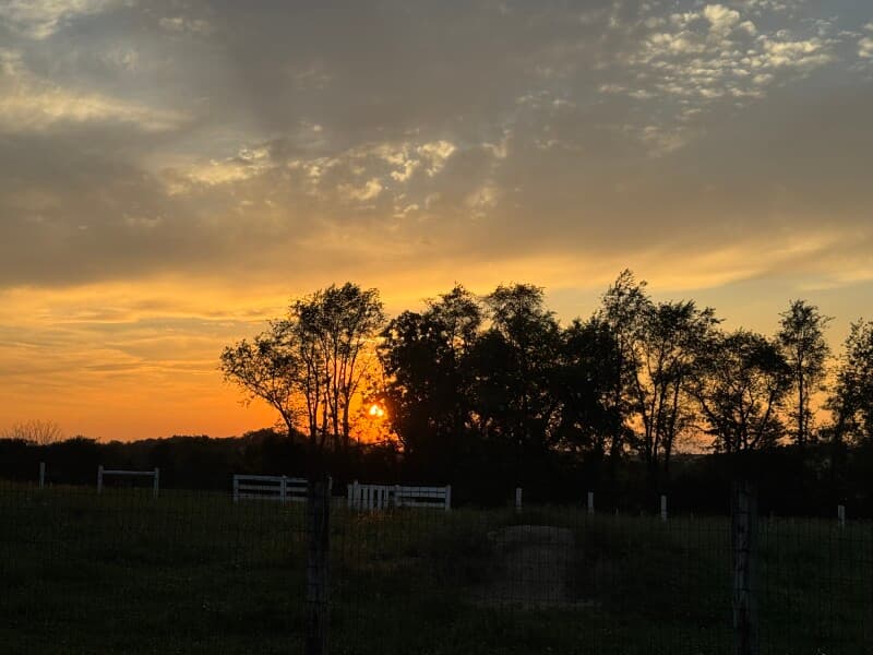 Farm stay at Family-Owned Alpaca Farm Retreat