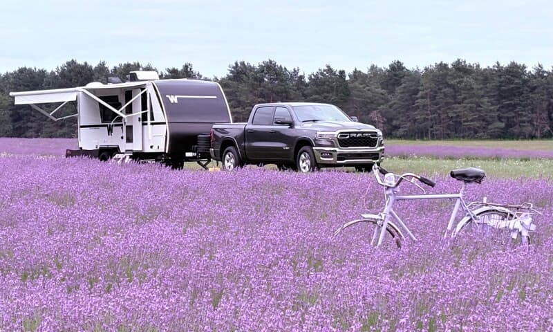 Farm stay at Northern Michigan Lavender Farm Retreat