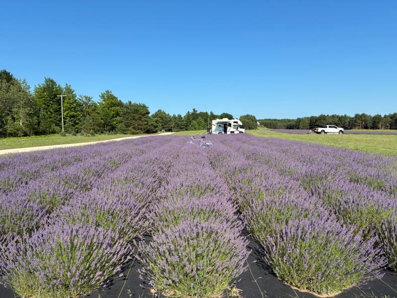 Farm stay at Northern Michigan Lavender Farm Retreat