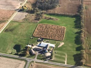 Scenic Pumpkin & Llama Farm