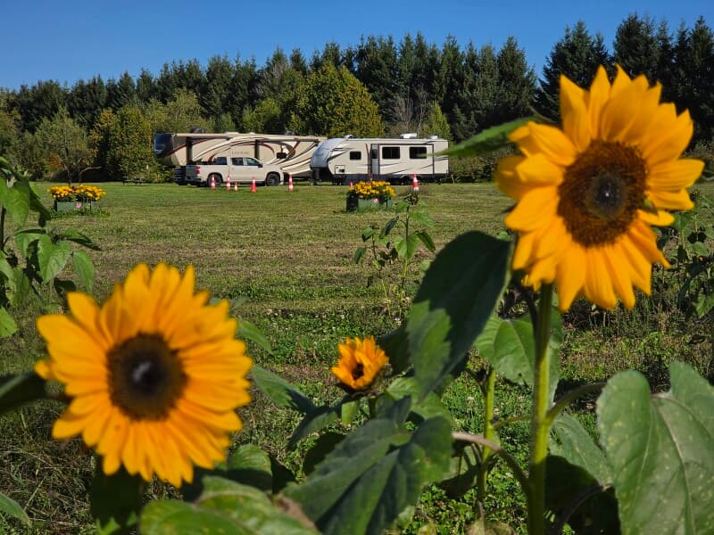 Farm stay at Seasonal U-Pick Flower Farm Retreat