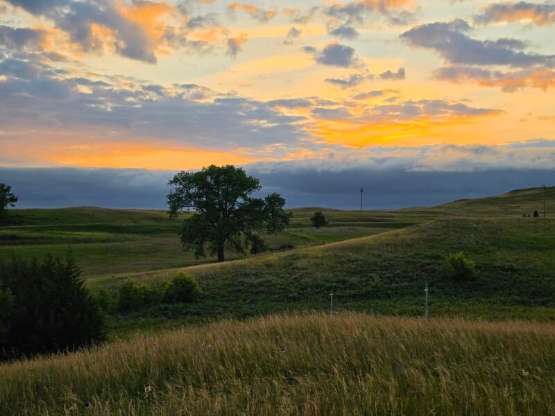 Farm stay at Scenic Fiber Goat Farm Retreat