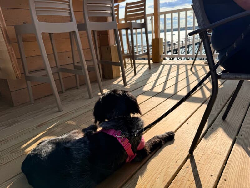 Attraction stay at Coastal Marina Bar & Grill