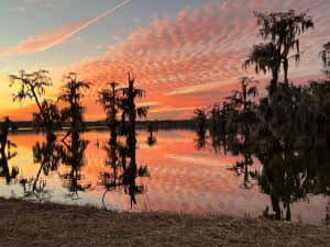 Accessible Bayou Swamp Tour Retreat