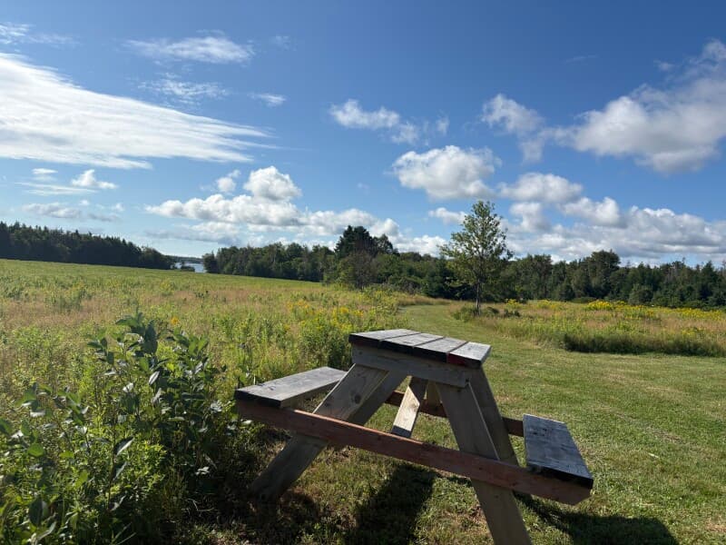 Farm stay at Tranquil Island Homestead Retreat