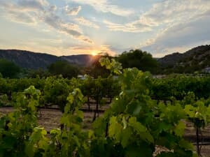 Scenic Vineyard & Cidery Retreat