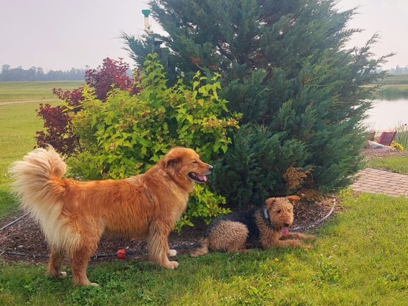 Farm stay at Pondside Grain Farm Getaway