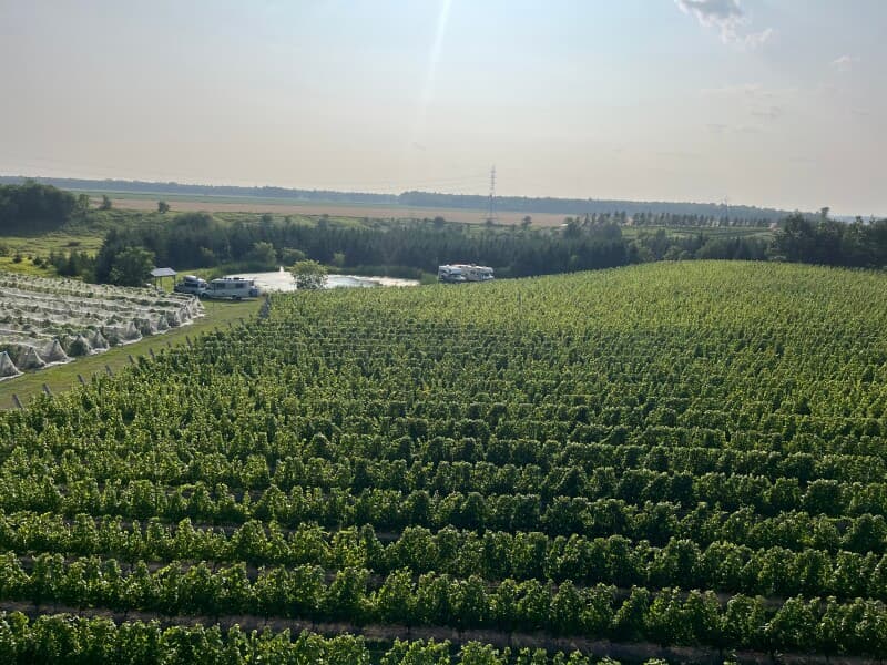 Winery stay at Riverside Vineyard Getaway