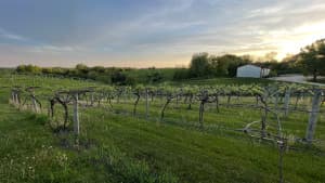 Corn Belt Winery & Distillery Retreat