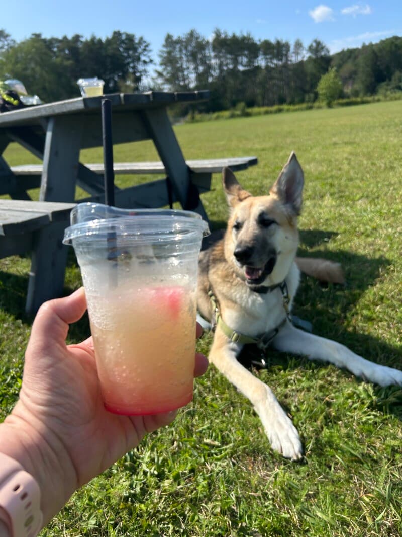 Brewery stay at Craft Cidery & Brewery with Orchard Views